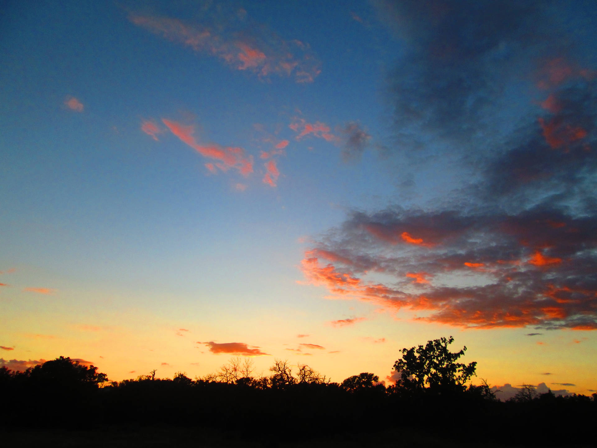 夕照雲霞 壁紙 — 充滿活力的日落用火熱的橙色和粉紅色雲彩在深藍色畫布上繪製天空，映襯著黑暗的樹木剪影。
