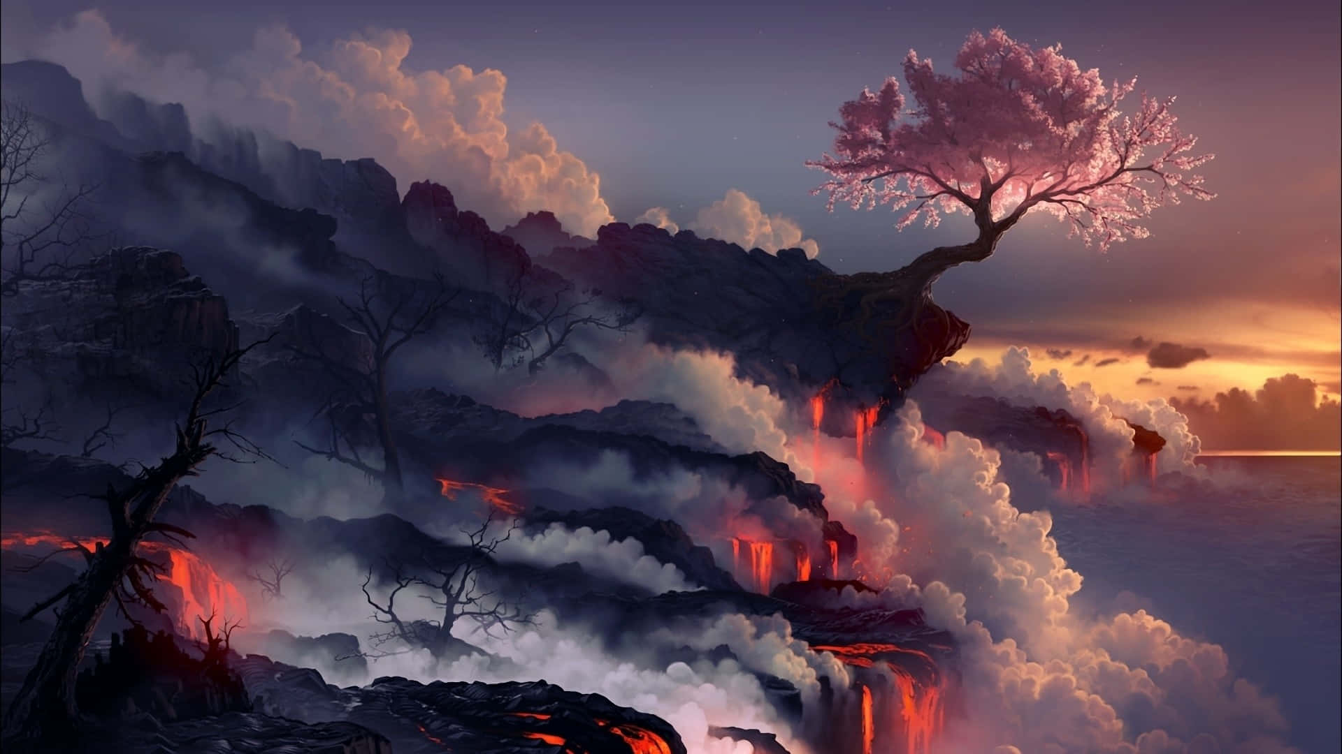 lava 桌布 壁紙 — 夕陽下，熔岩穿過迷霧雲層傾瀉而下，一棵孤獨的櫻花樹在火山懸崖頂上頑強綻放。