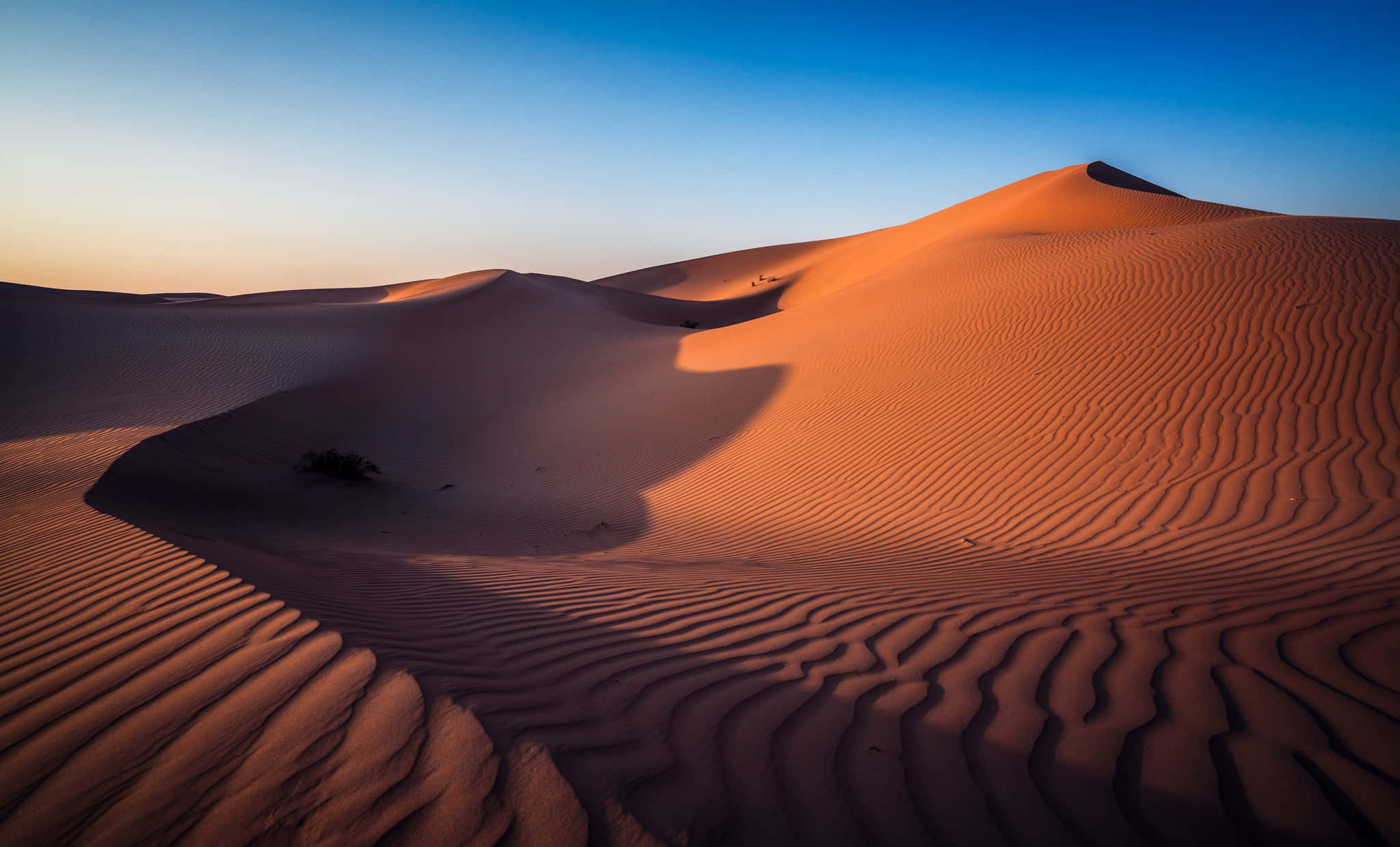 Sand Dunes 桌布 壁紙 — 夕陽以溫暖的光線沐浴著廣闊的橙色沙丘，在波紋狀的沙漠地形上投下長長的影子。