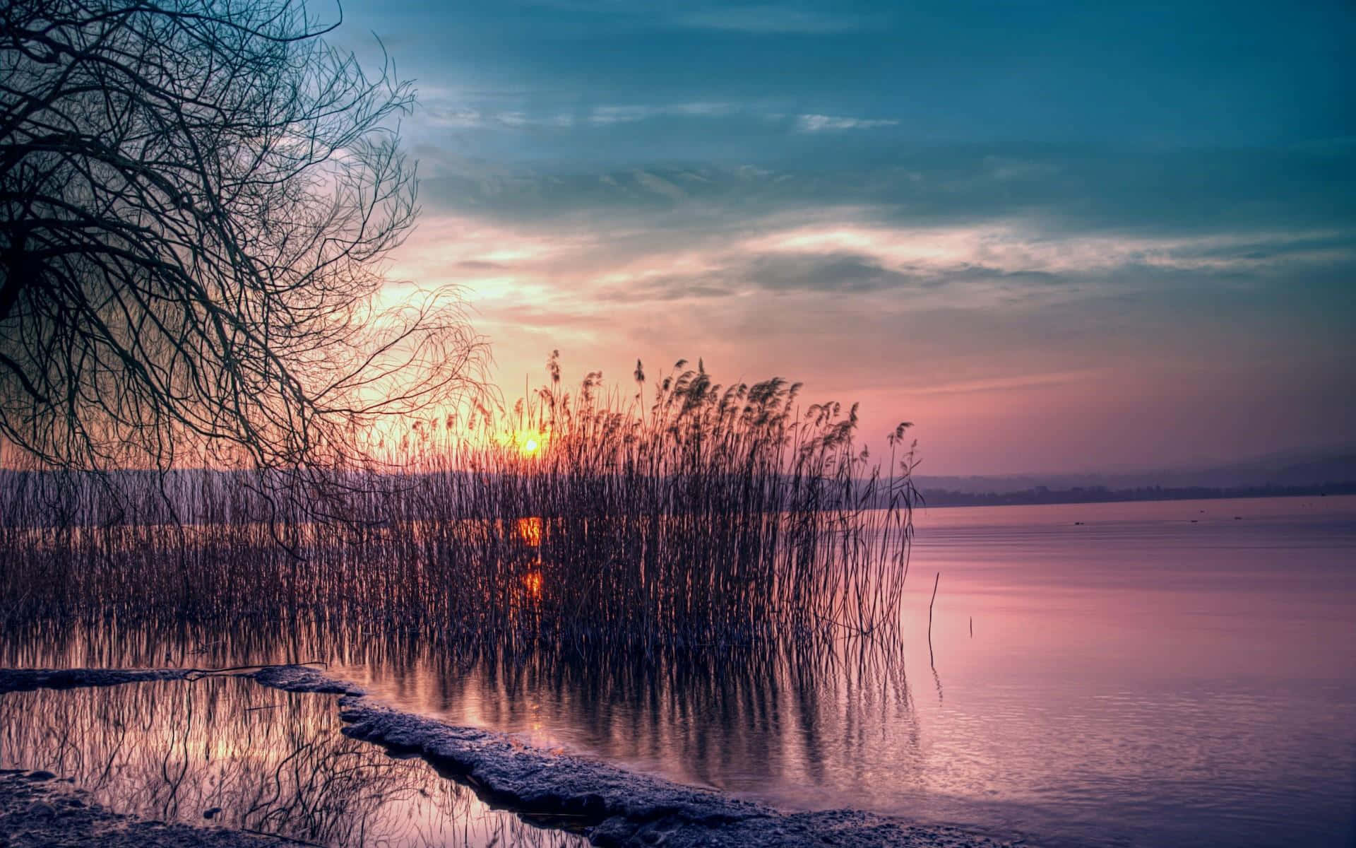 Sunset Landscape 桌布 壁紙 — 夕陽以溫暖色調塗抹天空，蘆葦和光禿的樹枝在黃昏的平靜水面上倒映。