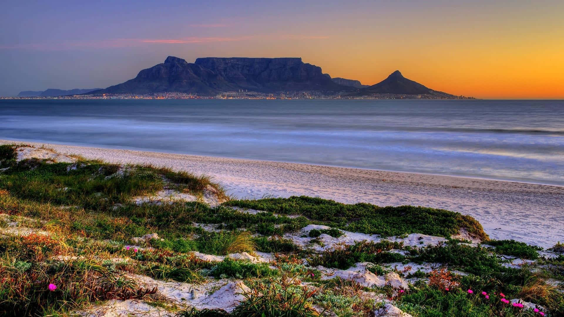 South Africa 桌布 壁紙 — 夕陽以溫暖色調描繪桌山和海洋，柔和的海浪流過長滿綠草和粉紅色花朵的沙丘。
