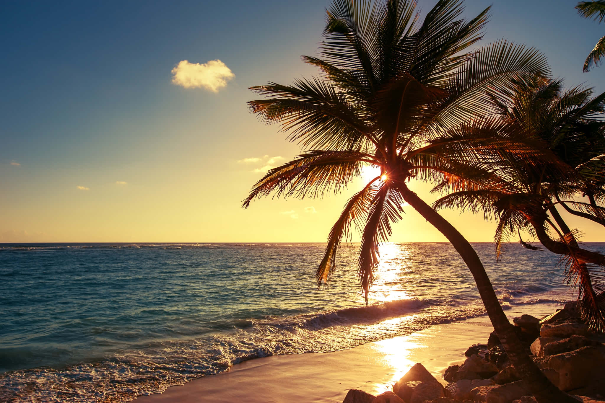 Beach Palm Trees 桌布 壁紙 — 夕陽在棕櫚樹後閃耀，將金色光芒投射在拍打沙灘的海浪上。