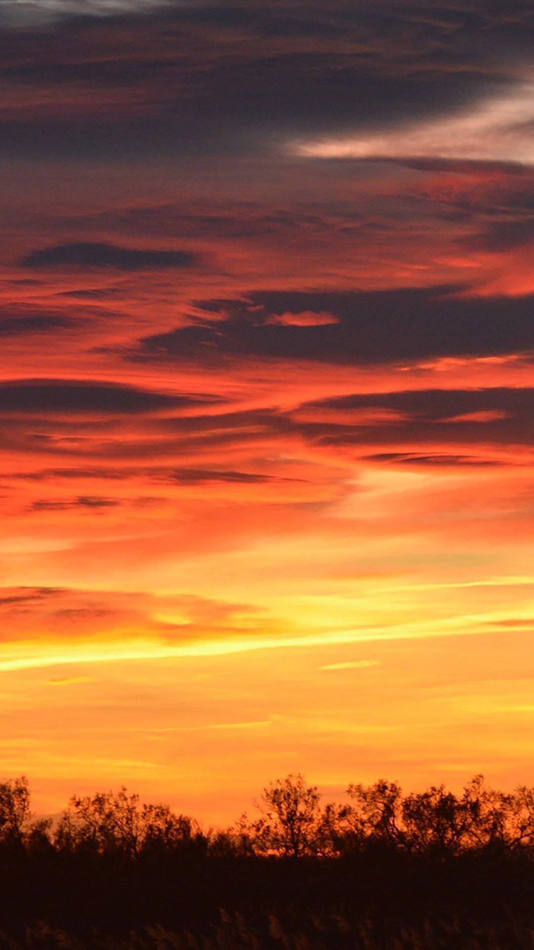 夕陽天際 壁紙 — 熾熱的夕陽在黑暗的樹線上將天空塗成鮮豔的橙色、紅色和黃色色調。