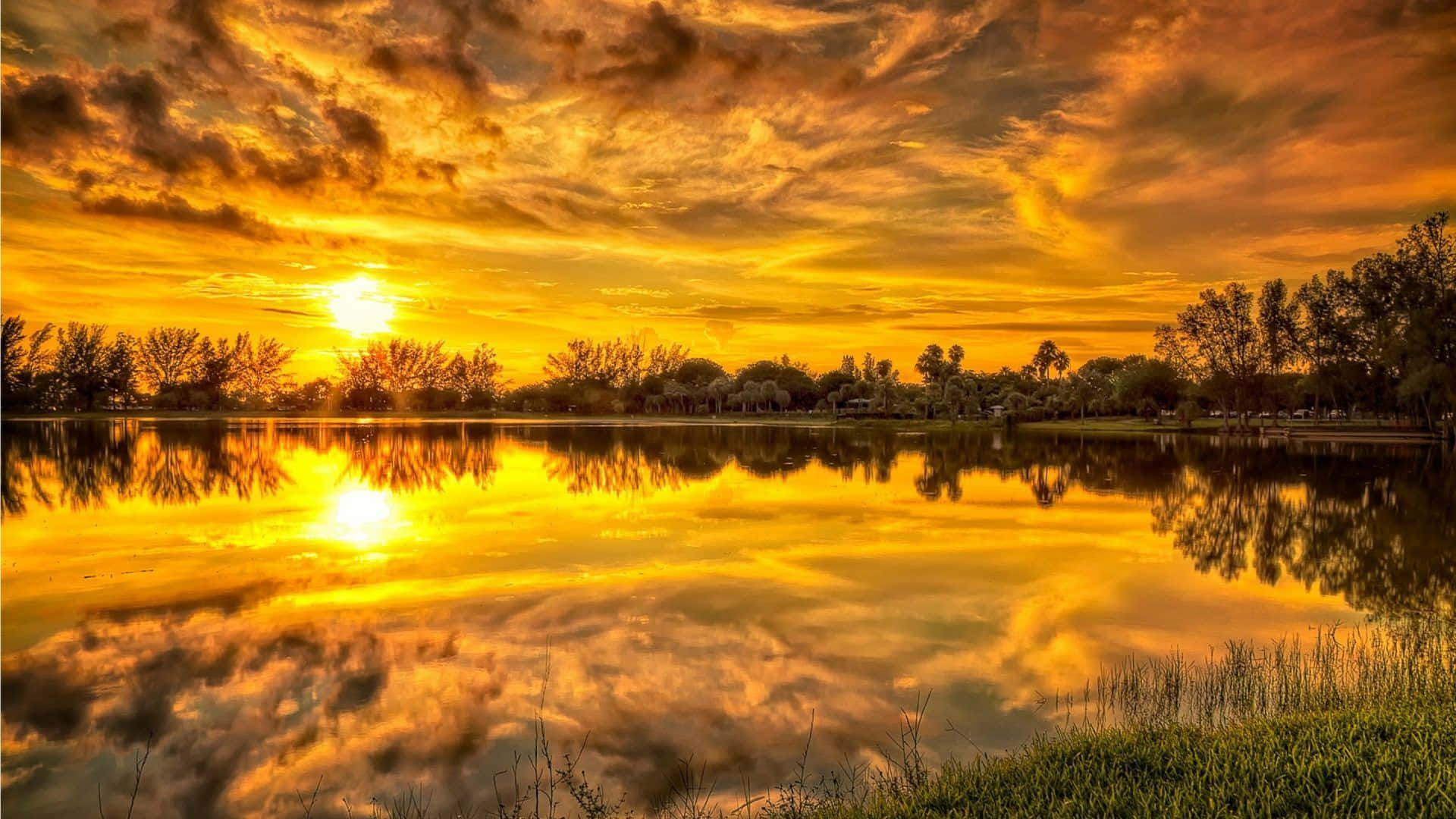 Yellow Sky 桌布 壁紙 — 夕陽將天空和水面染成火熱的橙色和黃色，雲朵完美地倒映在被樹木環繞的平靜湖面上。
