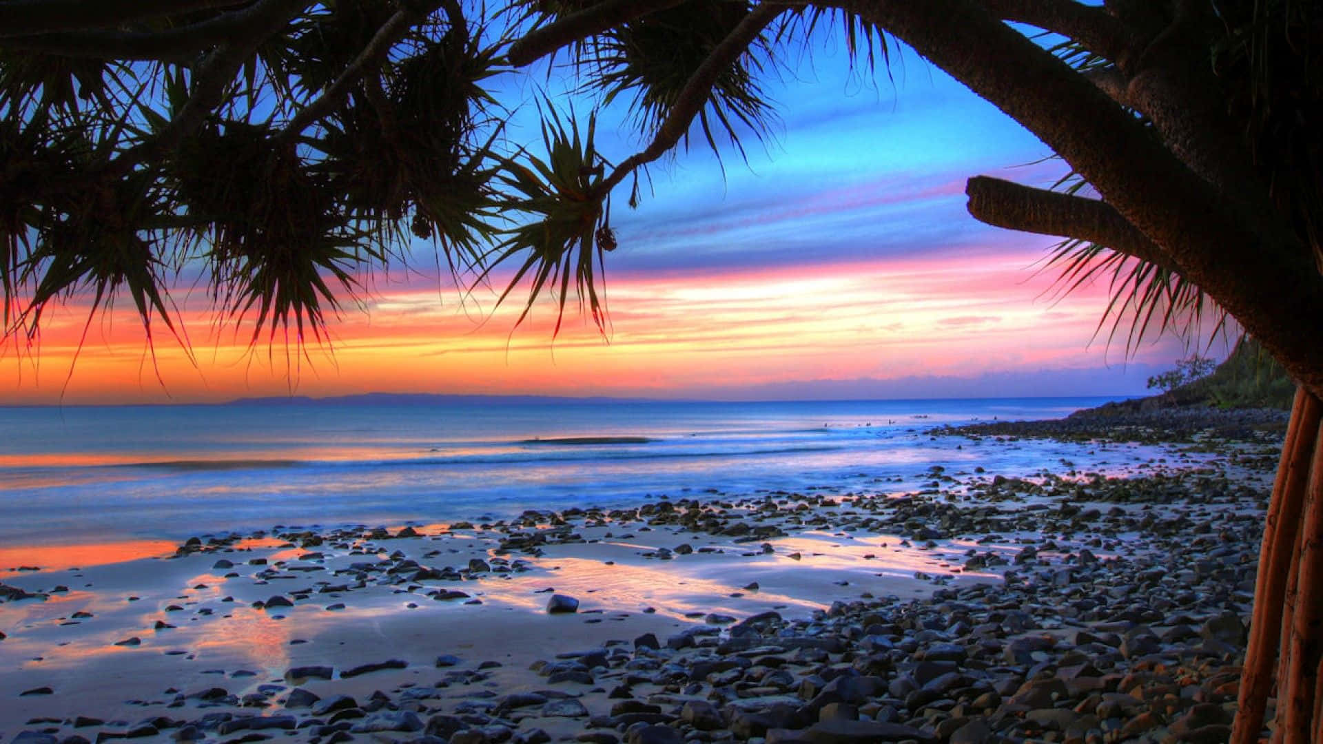 Australia Beach 桌布 壁紙 — 夕陽將天空染成橙色、粉紅色和藍色，岩石海灘被棕櫚葉的剪影框住。