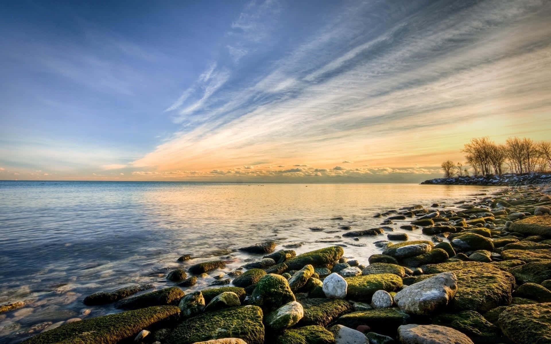 Winter Beach 桌布 壁紙 — 夕陽將天空染成溫暖的金色和藍色，映照在平靜的湖面上，湖邊佈滿長滿苔蘚的岩石和光禿禿的樹木。