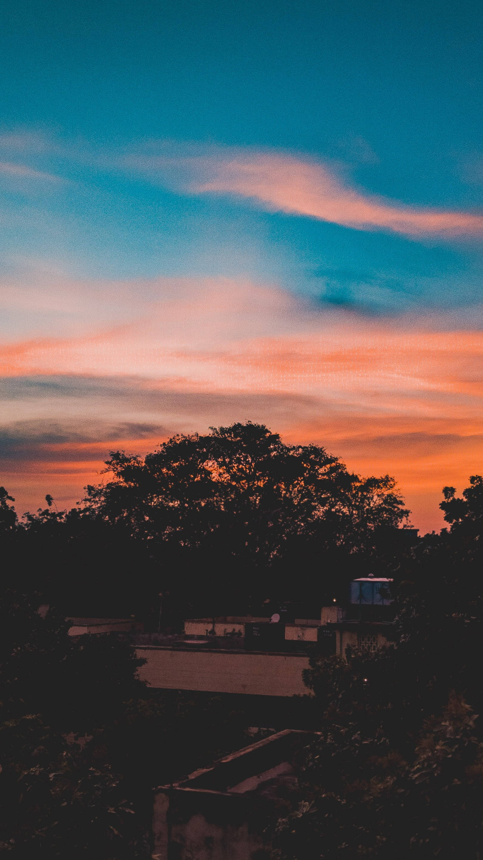 Aesthetic Sunset 桌布 壁紙 — 夕陽將天空染成火熱的橙色和柔和的藍色，樹木和屋頂的剪影勾勒出地平線。