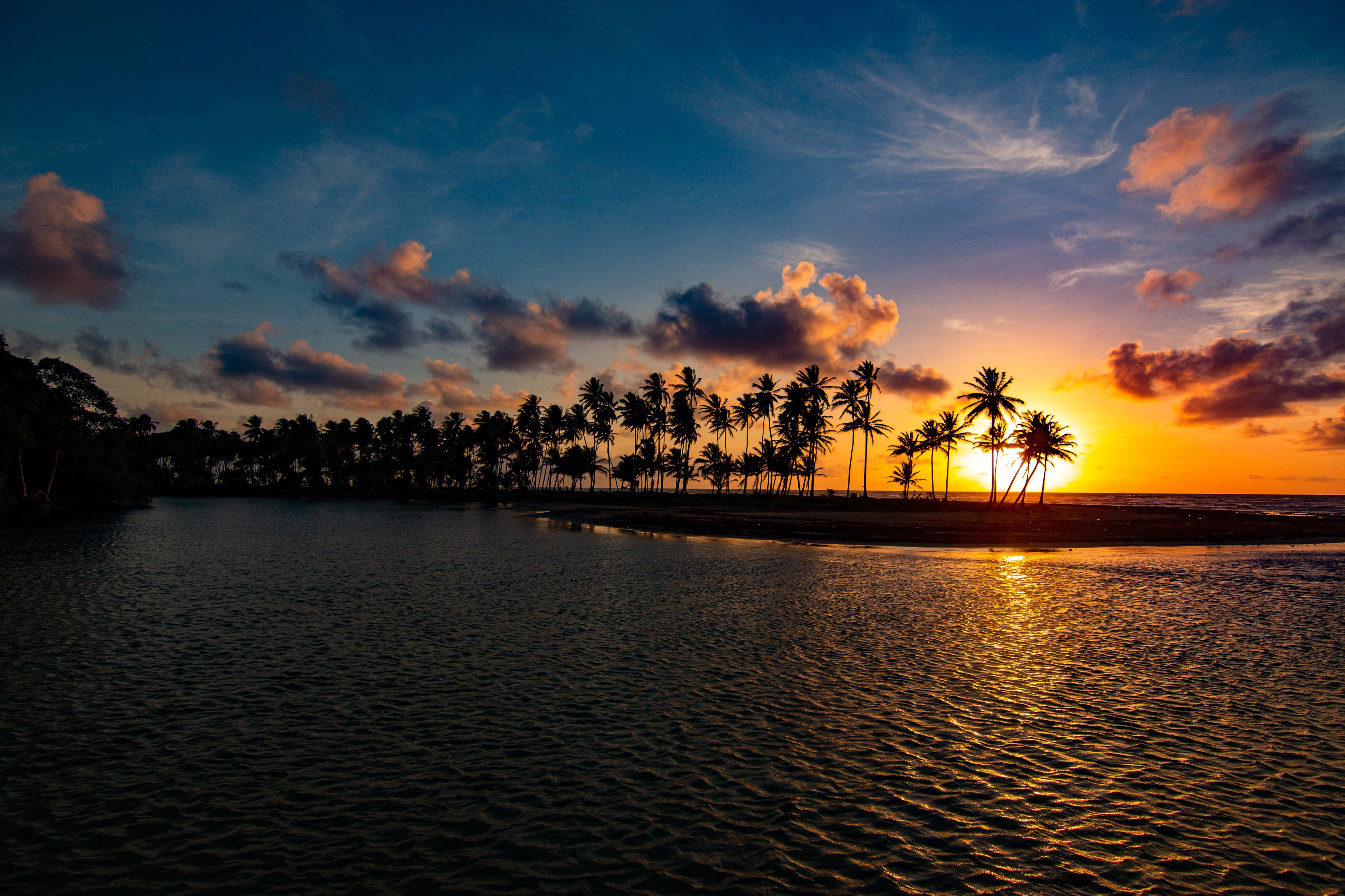 Caribbean 桌布 壁紙 — 夕陽將天空染成火熱的橙色和深藍色，棕櫚樹在平靜水面上閃爍的地平線襯托下形成剪影。