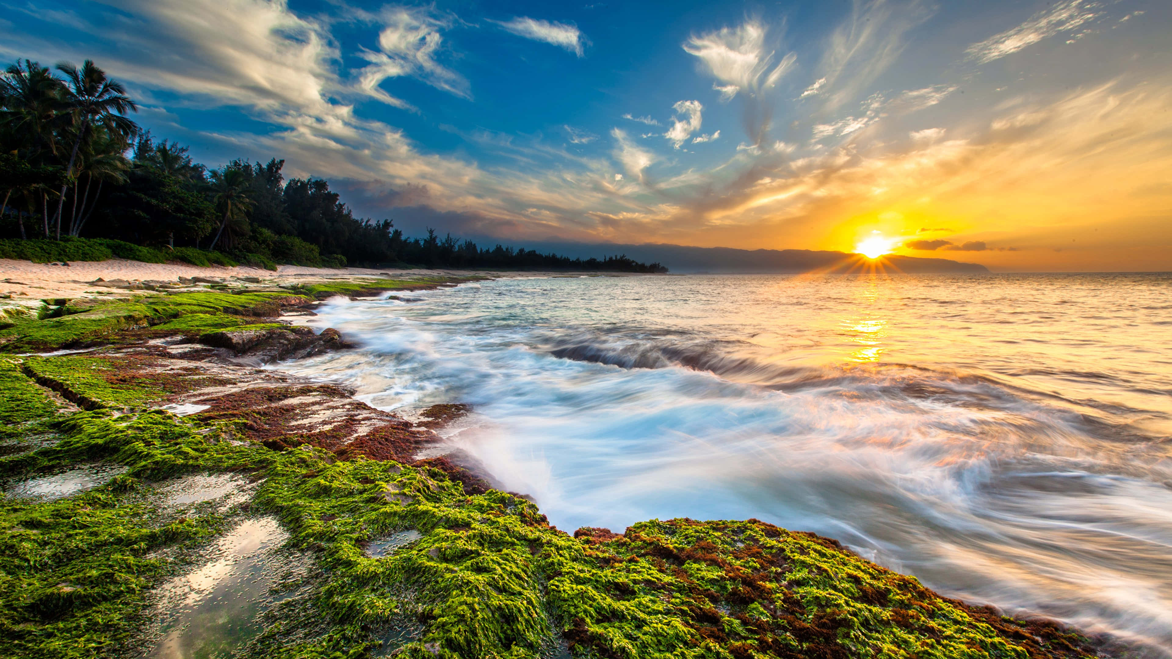 Sunset Ocean 桌布 壁紙 — 夕陽將天空染成金色，海浪拍打著熱帶海岸線上長滿苔蘚的岩石。