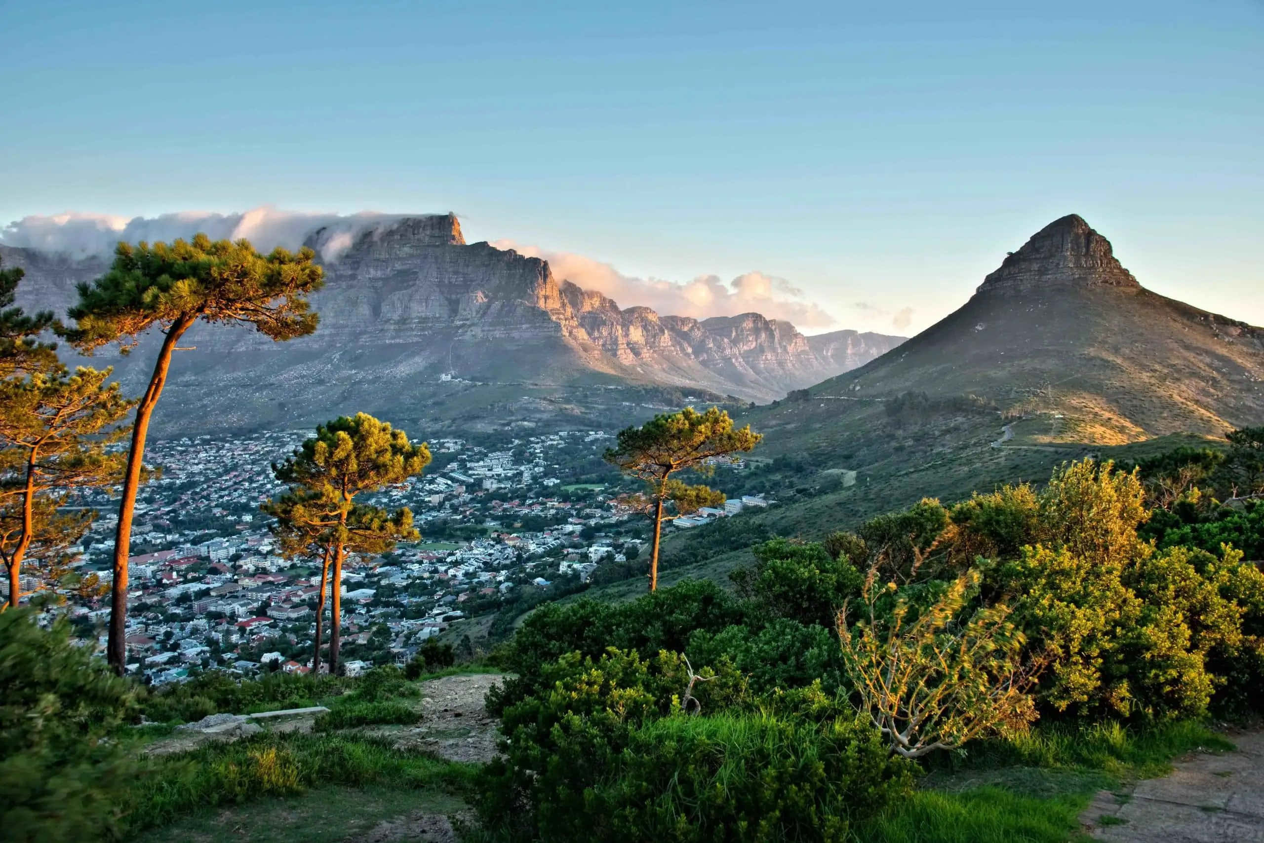 South Africa 桌布 壁紙 — 夕陽將桌山及其周圍的山峰沐浴在金黃色的光芒中，一個沿海小鎮坐落在下方的綠樹之間。