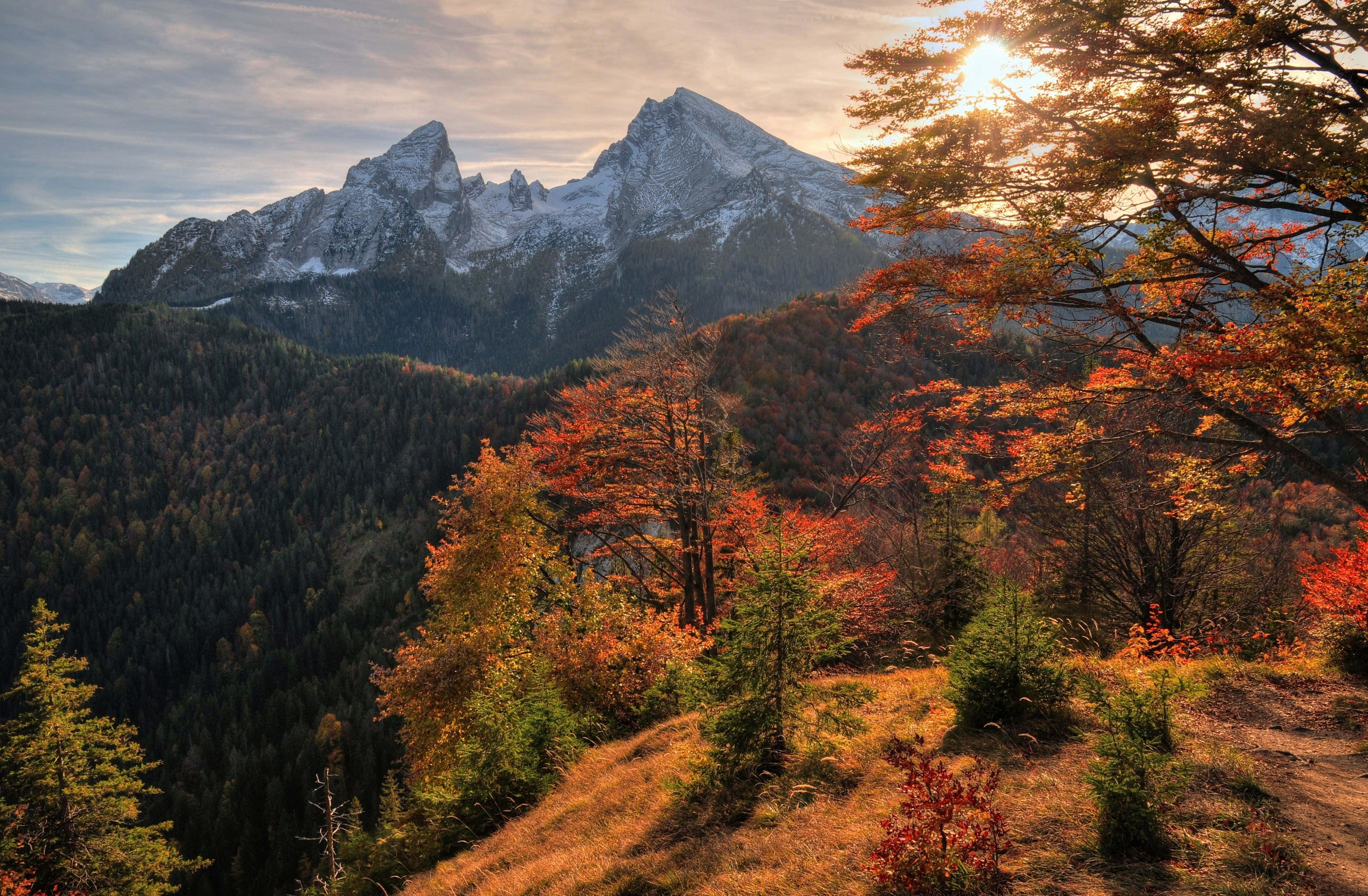 Fall Mountains 桌布 壁紙 — 夕陽將積雪的山峰沐浴在金色光芒中，火紅的秋樹襯托著下方的森林山谷。