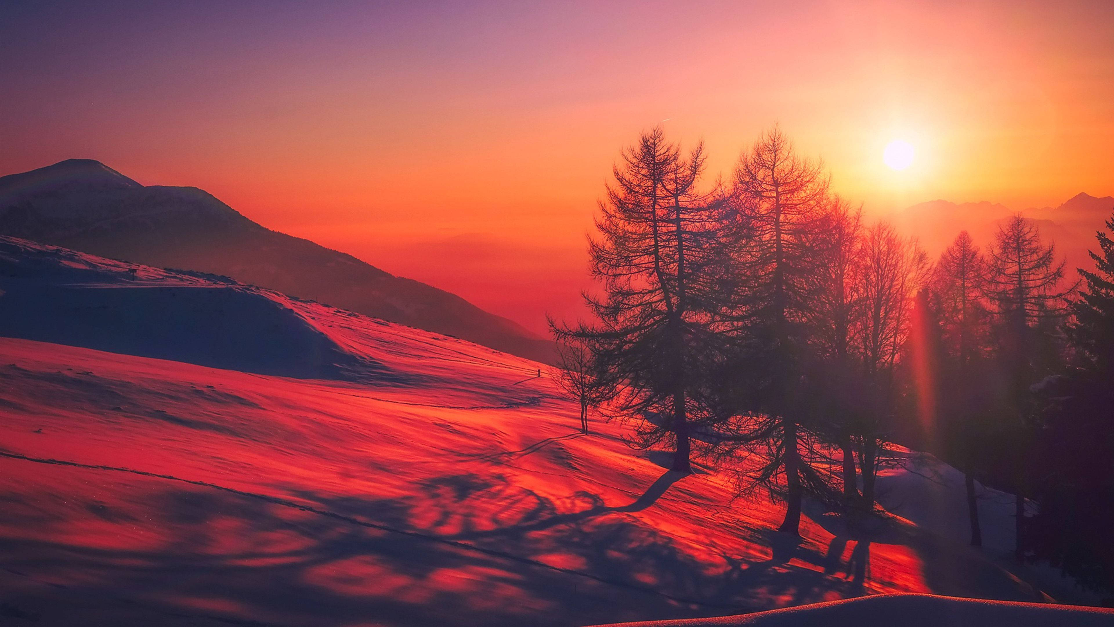 Aesthetic Chromebook 桌布 壁紙 — 夕陽將雪山和光禿禿的樹木染成火熱的橙色和紫色色調，在地貌上投下長長的陰影。