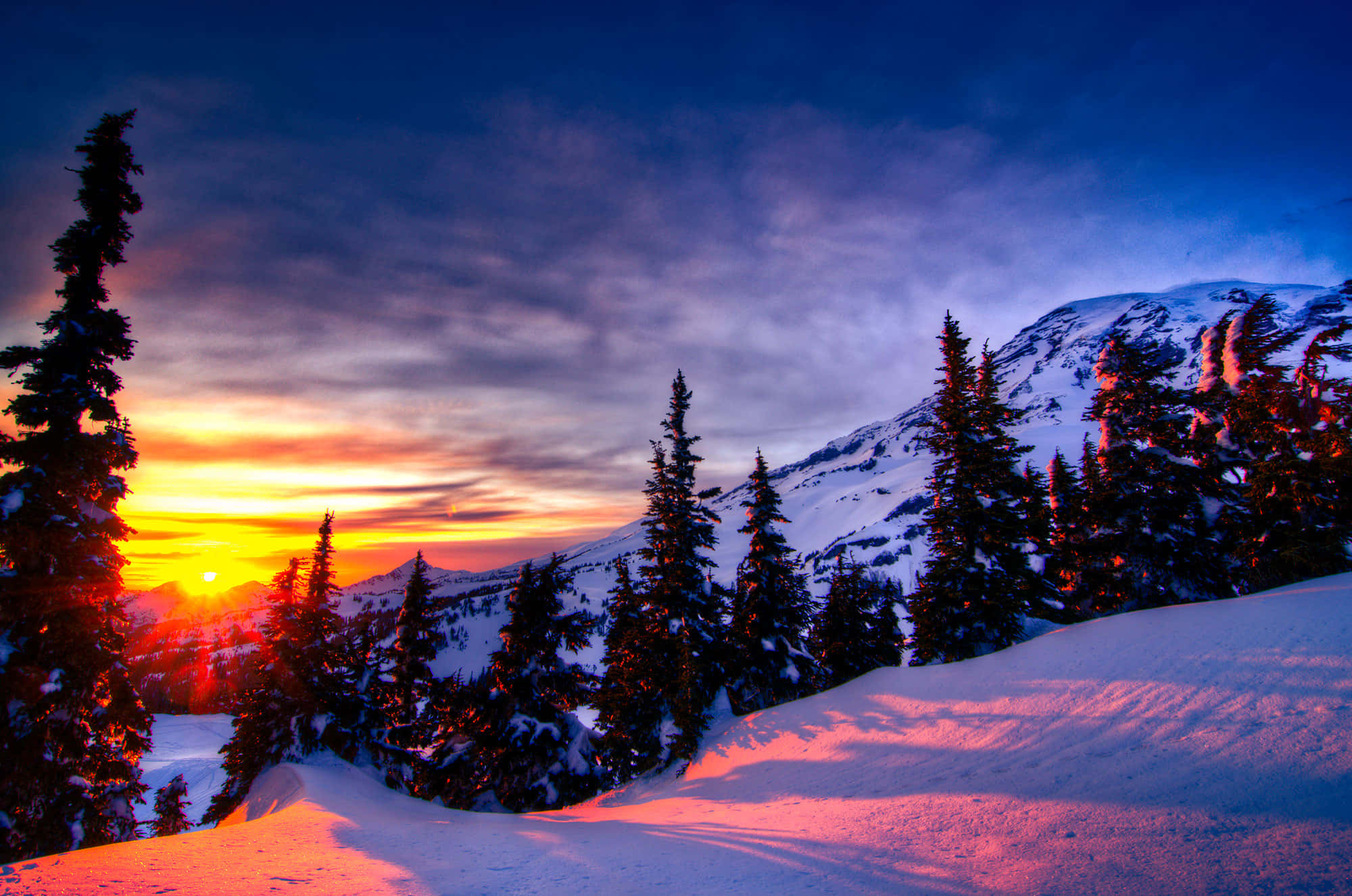 Winter Sun 桌布 壁紙 — 夕陽將雪山和松樹染成火熱的橙色和深藍色調。