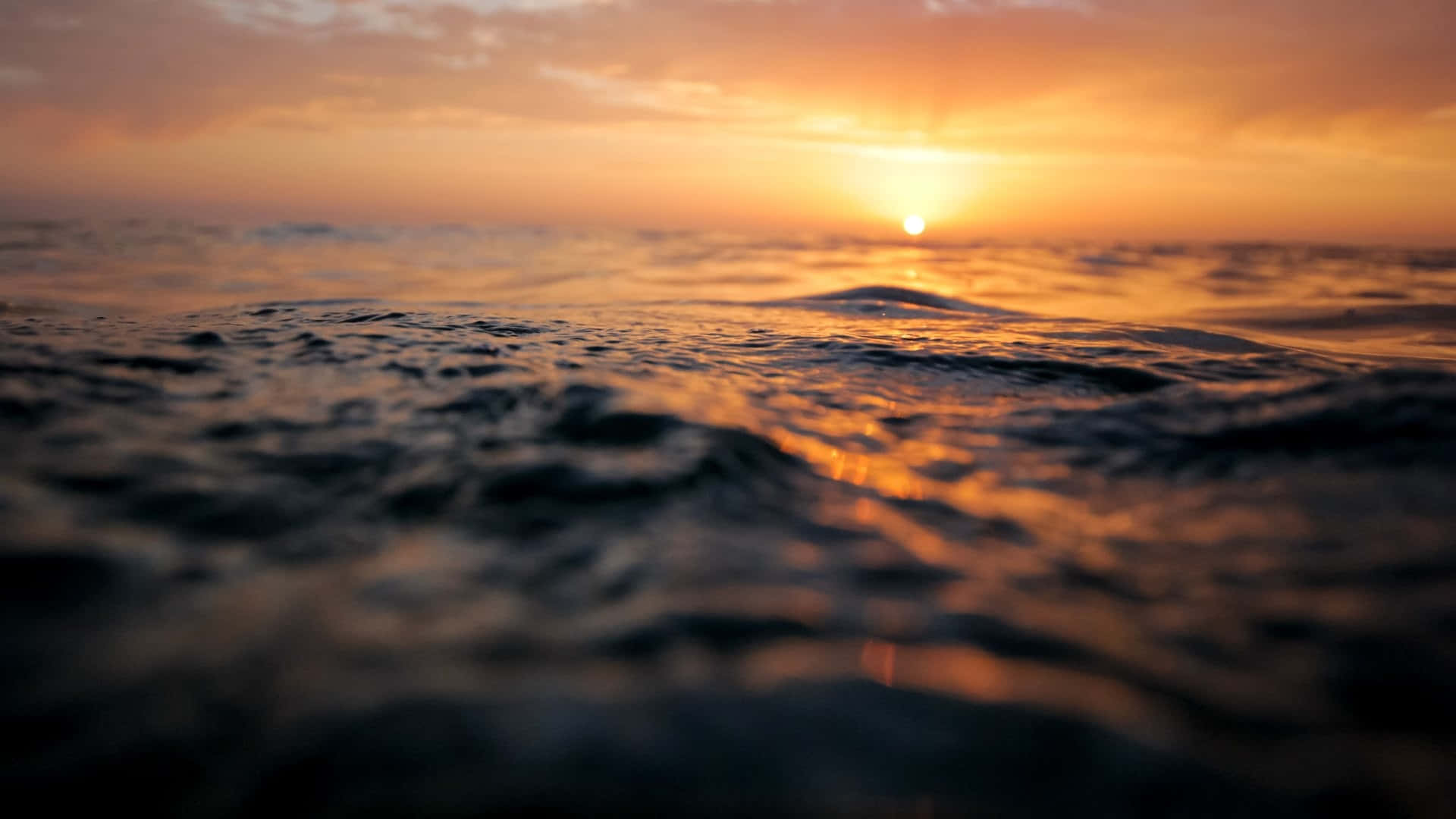 Sunset Ocean 桌布 壁紙 — 夕陽溫暖地照耀在海浪上，金色的光線反射在紋理化的水面上。