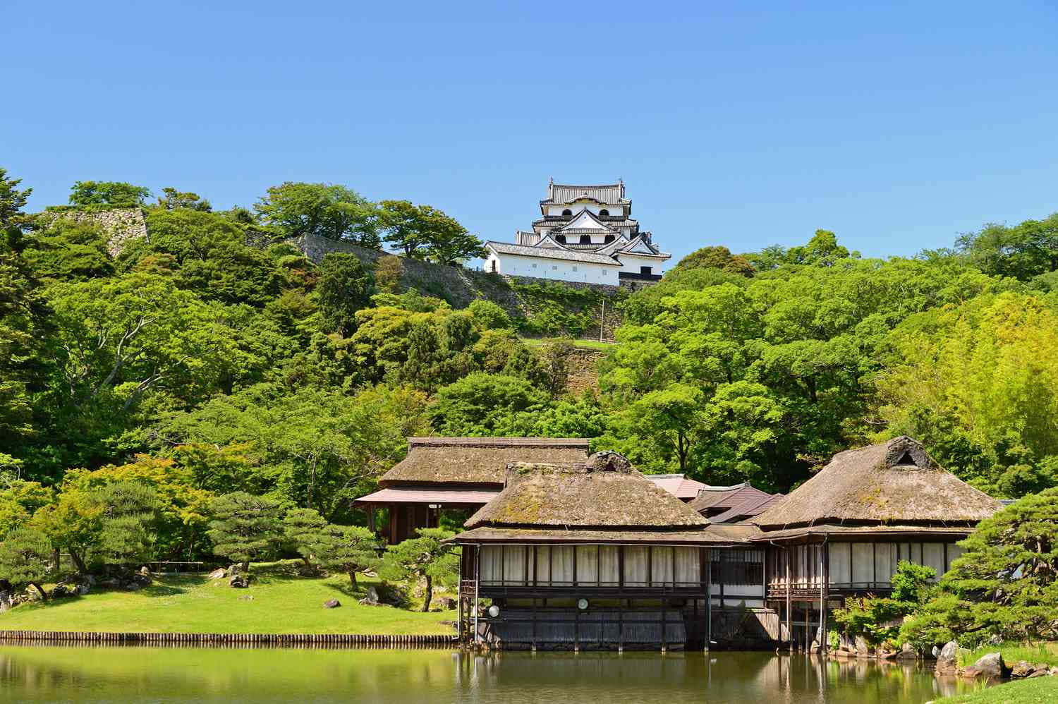 山丘上的日本城堡，茅草屋頂建築和池塘