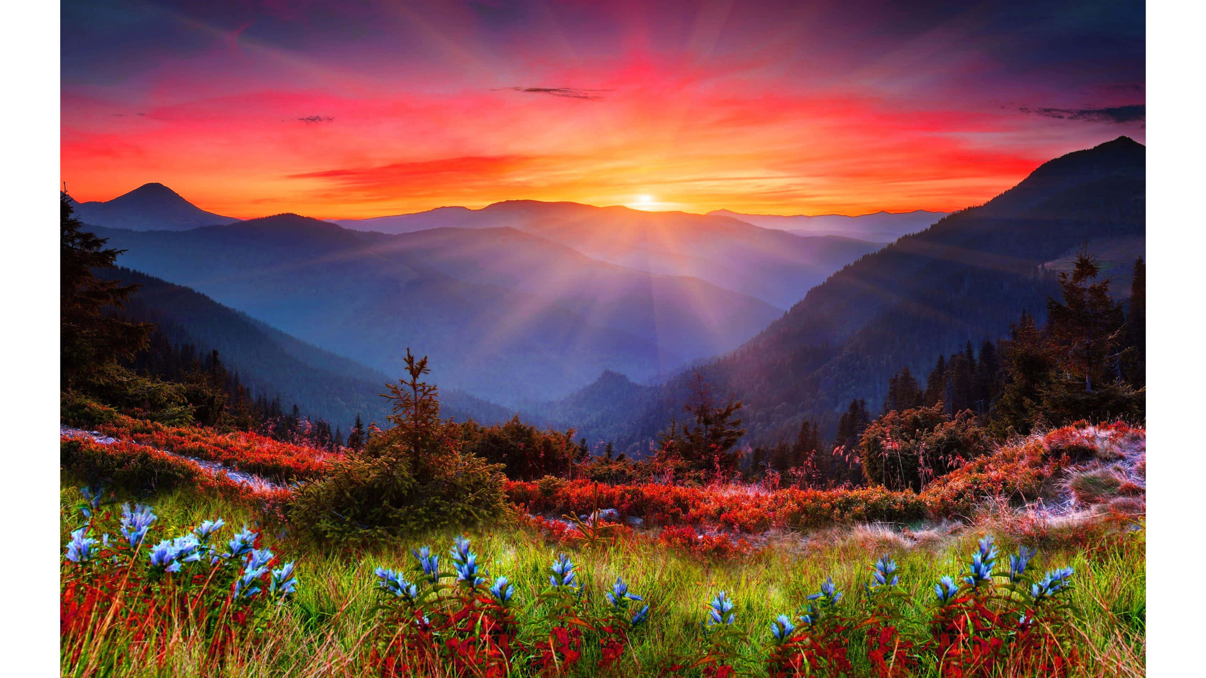 Spring Sunset 桌布 壁紙 — 夕陽穿透山峰，照耀在紅藍野花盛開的原野上。