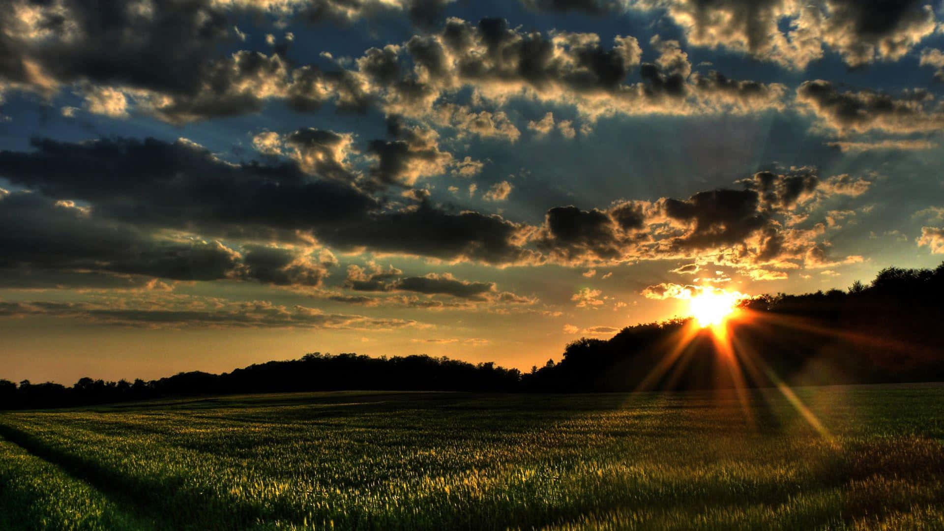 Spring Sunset 桌布 壁紙 — 夕陽穿透戲劇性的雲層，照耀著廣闊的綠色田野，地平線上有剪影般的樹木。