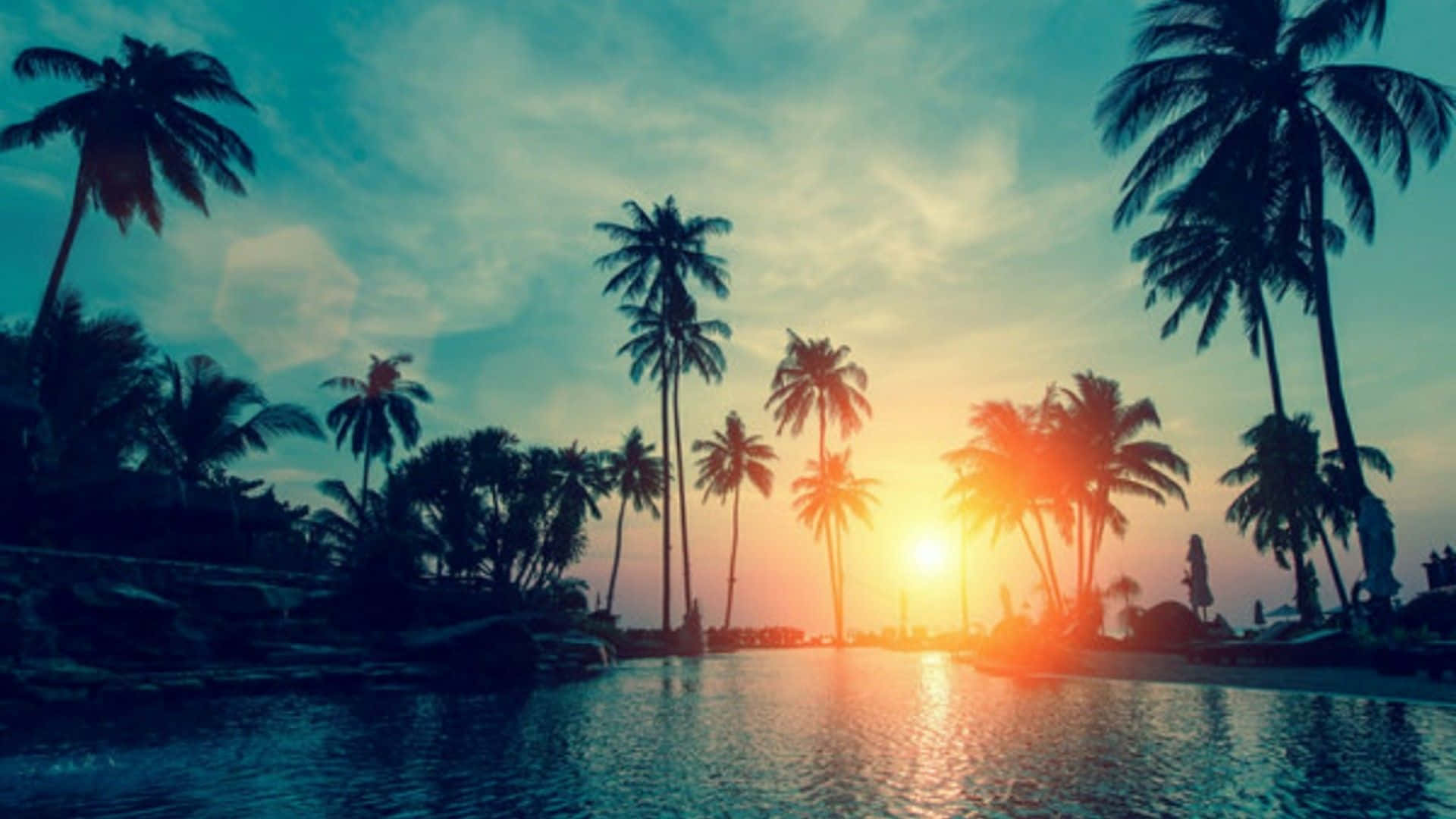 Palm 桌布 壁紙 — 夕陽穿過棕櫚樹，在平靜水面上方的土耳其藍天空中形成剪影。