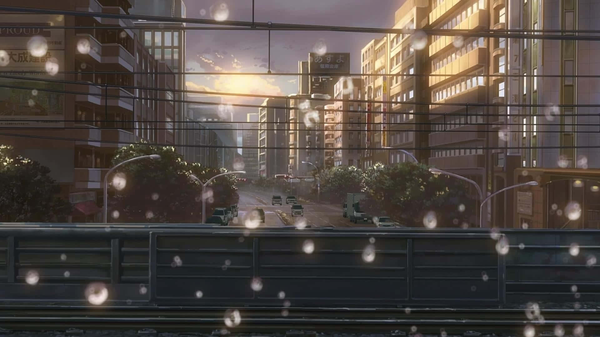 Makoto Shinkai 桌布 壁紙 — 夕陽穿過窗戶上的雨滴，俯瞰一條寧靜的城市街道，高樓大廈和稀疏的交通。