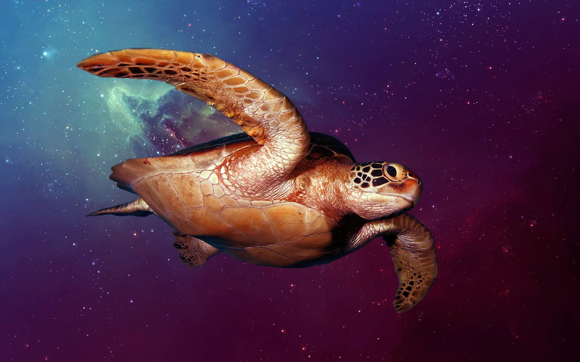 外太空中的酷龜 壁紙 — 一隻海龜優雅地滑過充滿星星和發光氣體雲的鮮豔宇宙星雲。