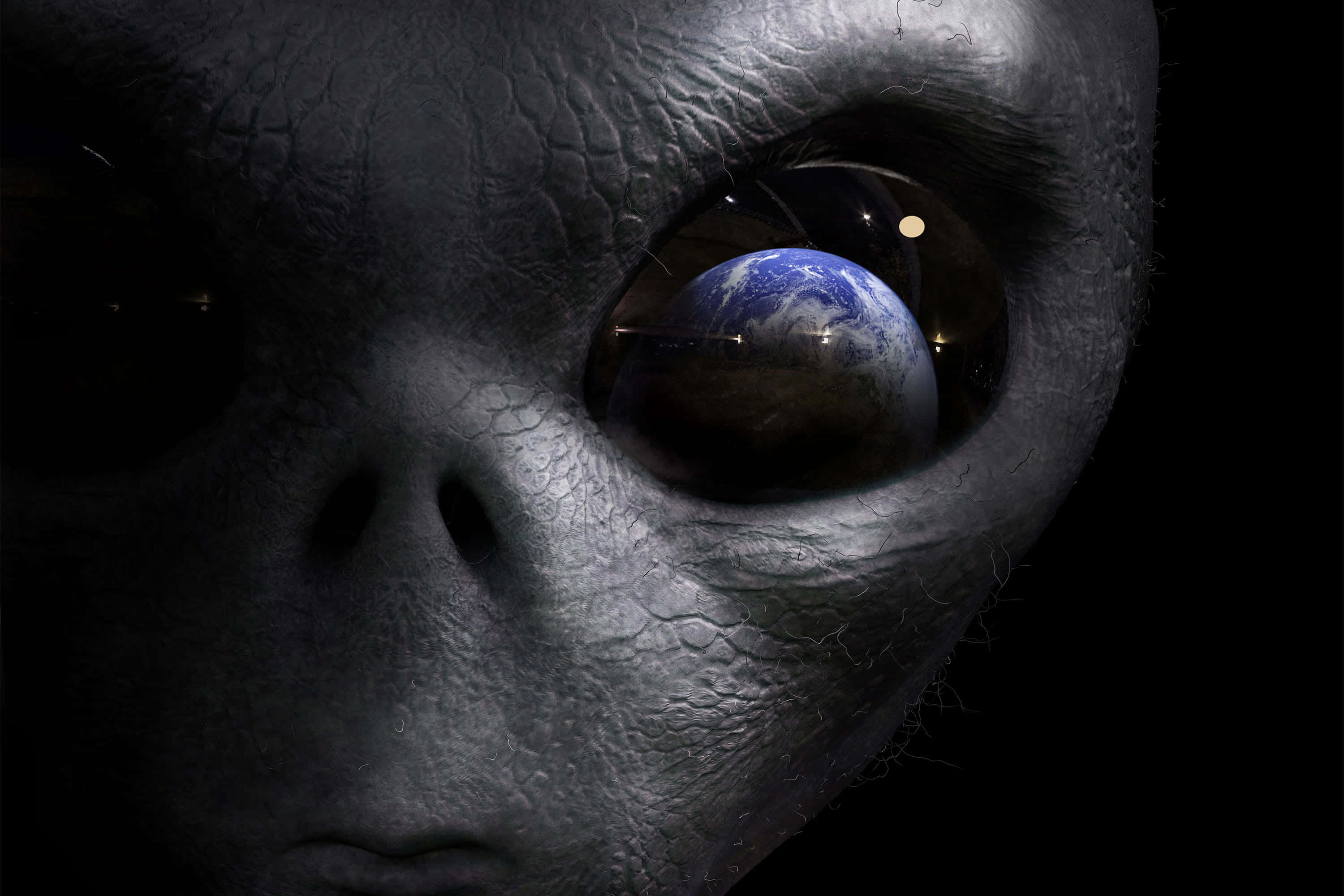 外星人圖片 壁紙