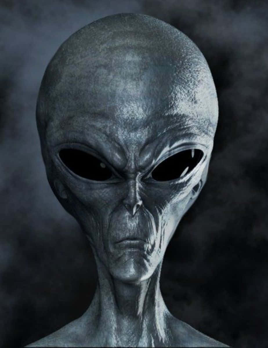 外星人圖片 壁紙