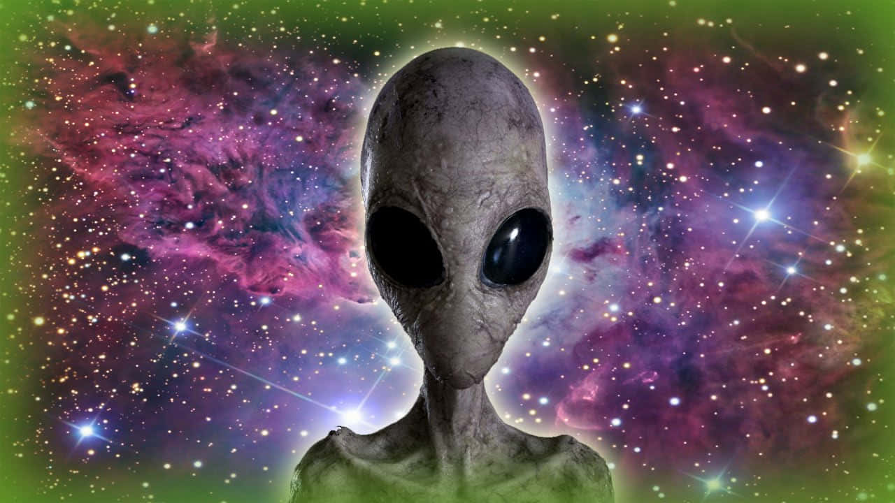 外星人圖片 壁紙