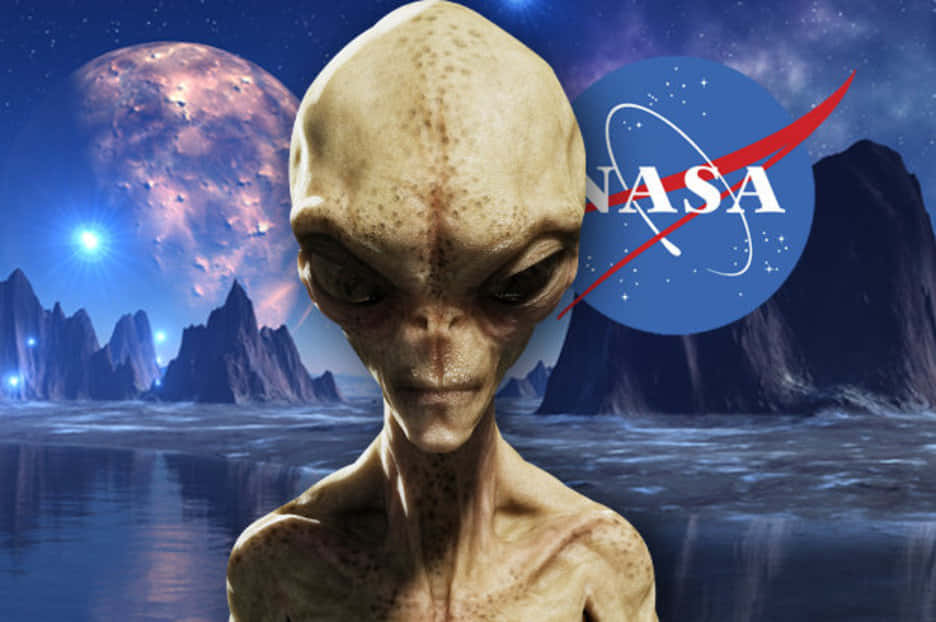 外星人圖片 壁紙