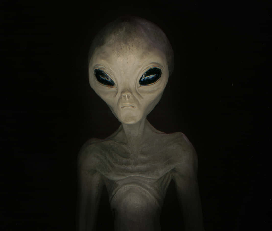外星人圖片 壁紙