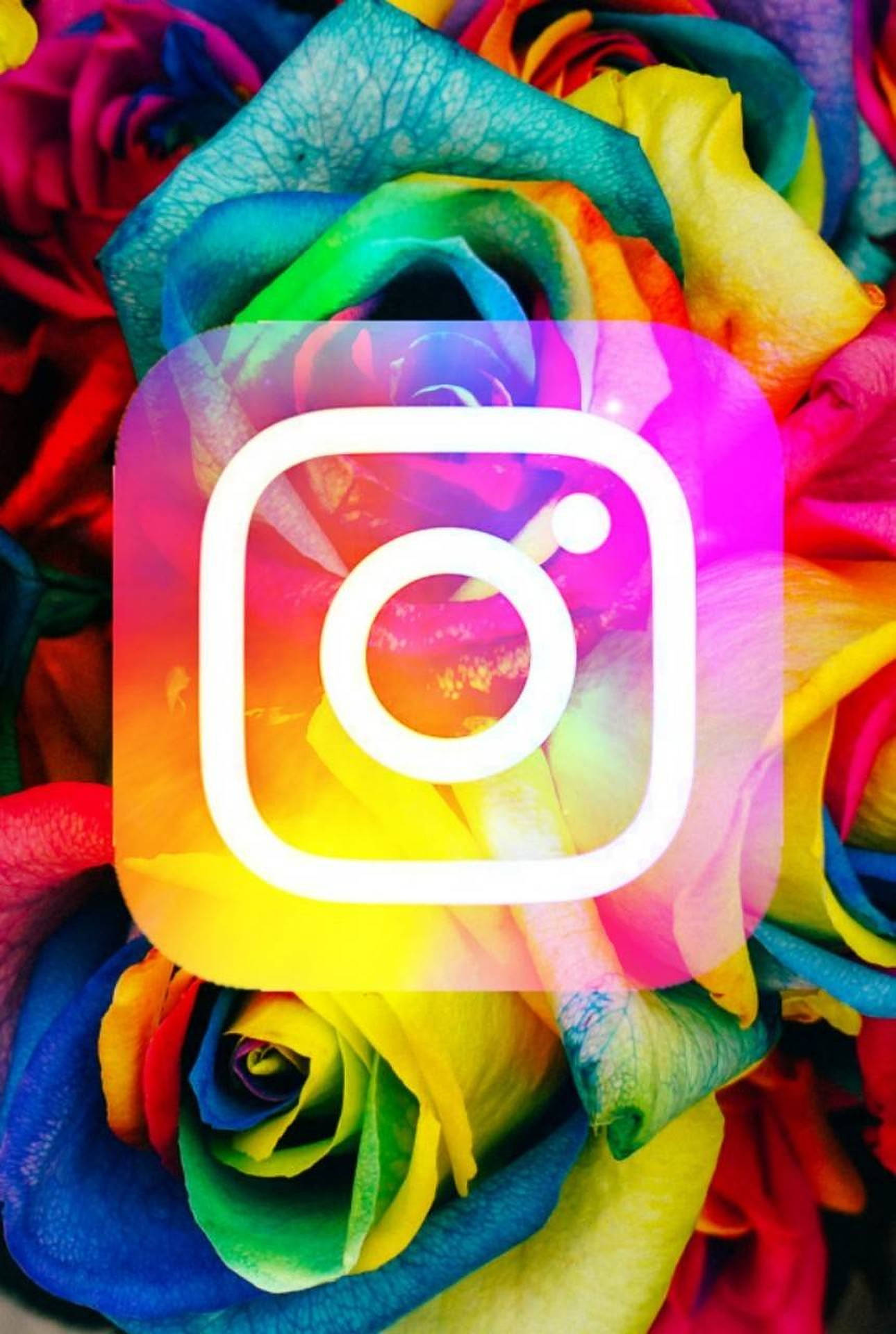 Instagram 標誌在彩虹玫瑰壁紙上