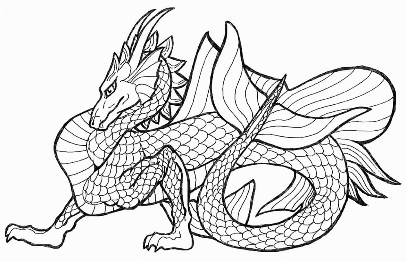 多彩幻想巨龍 壁紙 — 一幅詳細的黑白線條畫，描繪了一條盤繞的龍，身體有鱗片，翅膀有羽毛。