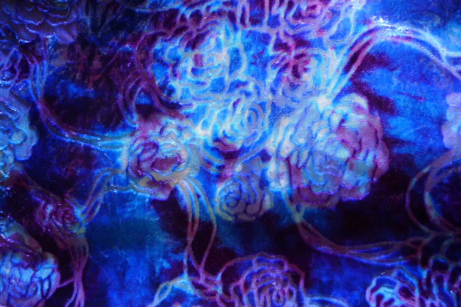帶有霓虹輪廓的發光藍色和紫色玫瑰的抽象圖案。