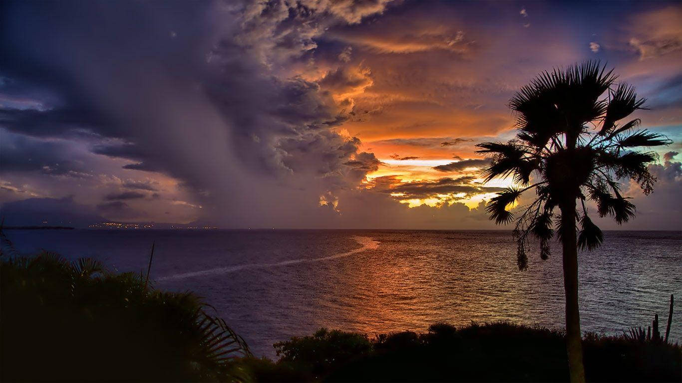 多明尼加共和國夕陽天際 壁紙 — 海洋上空戲劇性的日落，帶有火熱的橙色雲彩和前景中棕櫚樹的剪影。