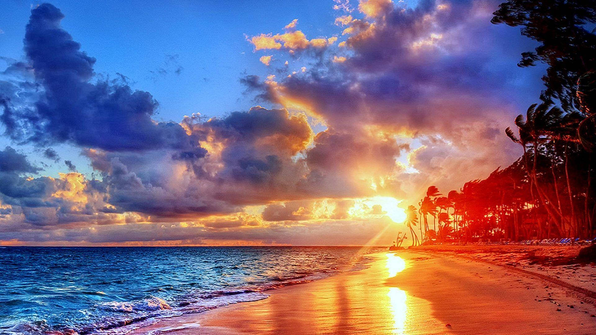 多明尼加共和國多彩日落 壁紙 — 夕陽將天空和海洋染成火熱的橙色和深藍色，海浪親吻著棕櫚樹成蔭的沙灘。