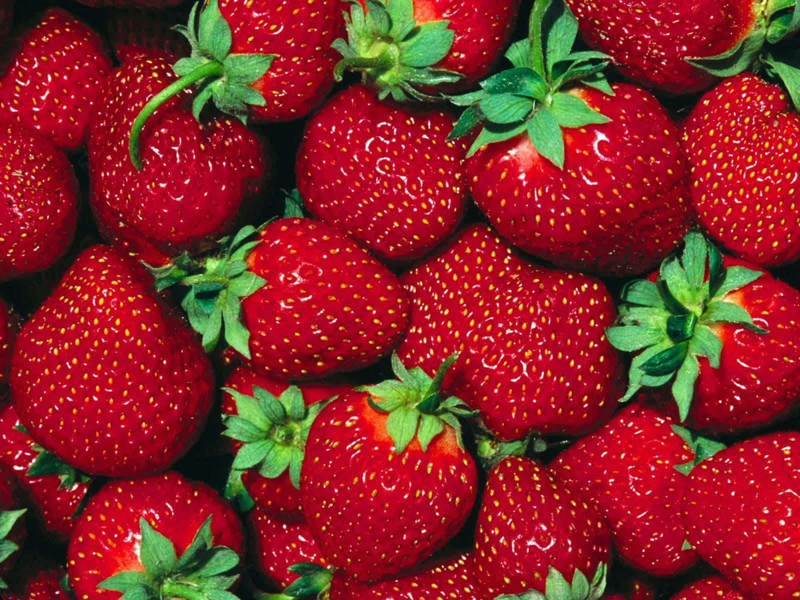 Cute Strawberry 桌布 壁紙 — 多汁成熟的士多啤梨帶有綠色頂部，在明亮光線下閃閃發光，呈現充滿活力的特寫。