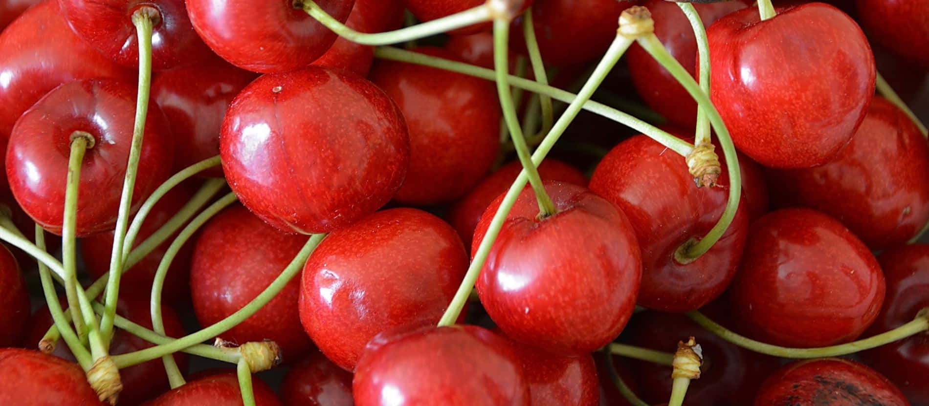 Red Cherries 桌布 壁紙 — 多汁成熟的車厘子，帶有光澤的紅色外皮和綠色莖，堆疊在一起，呈現充滿活力的特寫。
