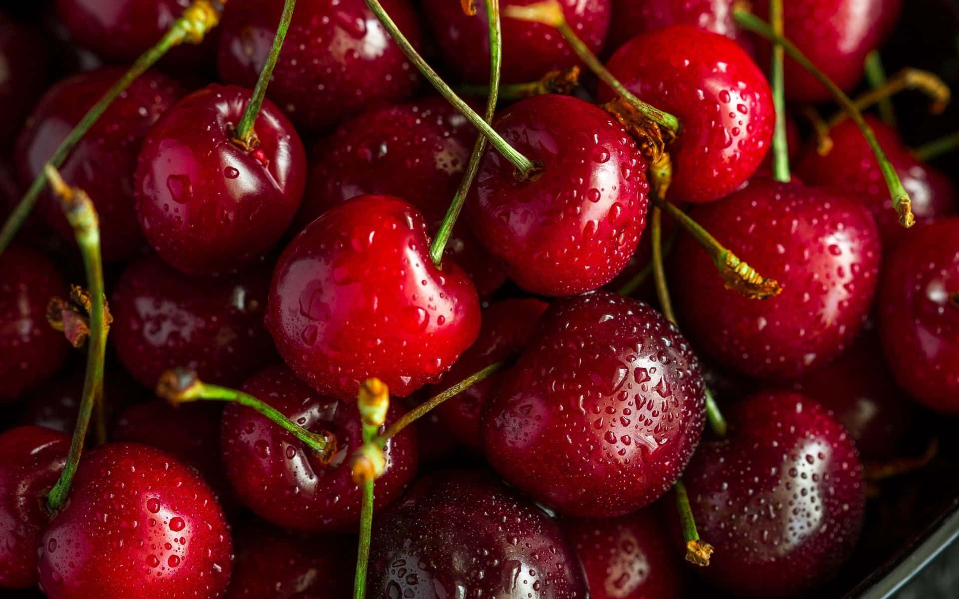 Cherry 桌布 壁紙 — 多汁成熟的車厘子在柔和光線下閃爍著露珠，展現深紅色果皮和綠色莖部。
