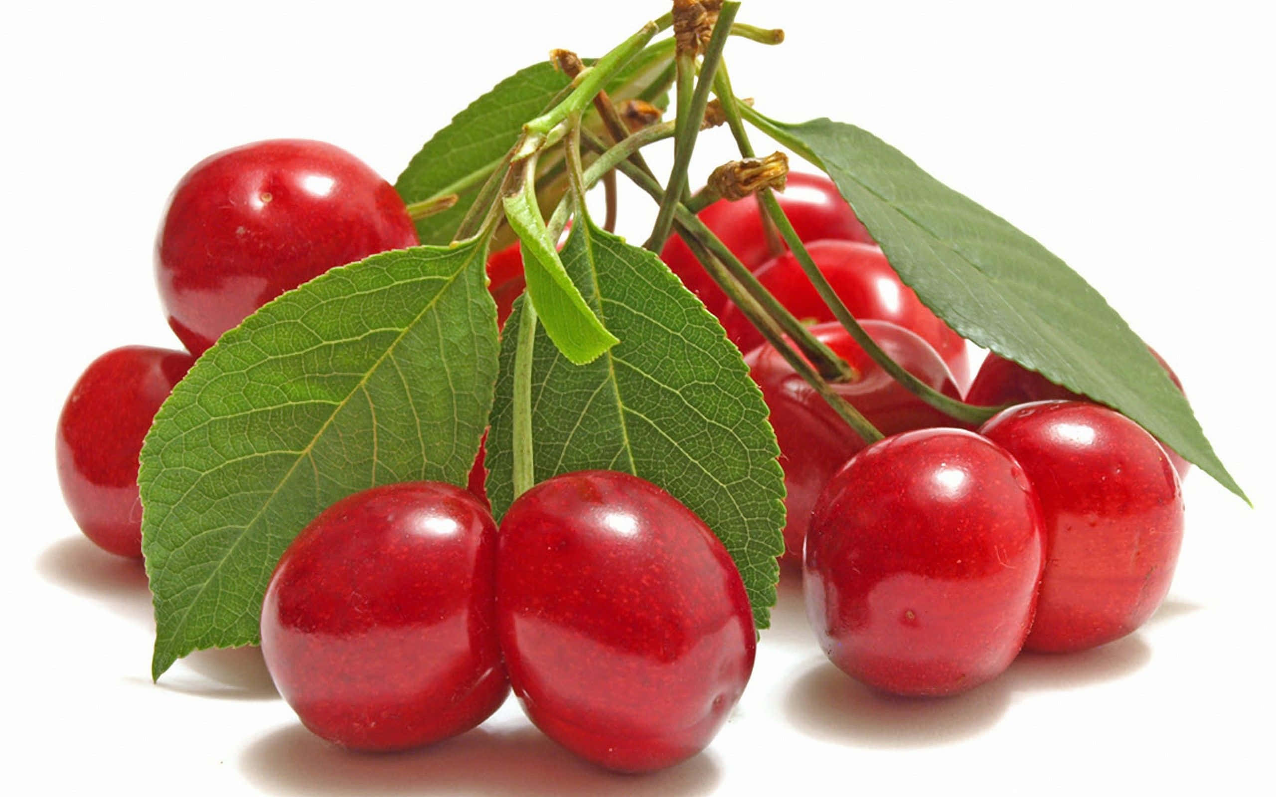 Cherry 桌布 壁紙 — 多汁的紅櫻桃，帶有綠葉，成簇地掛在莖上，背景是純白色。