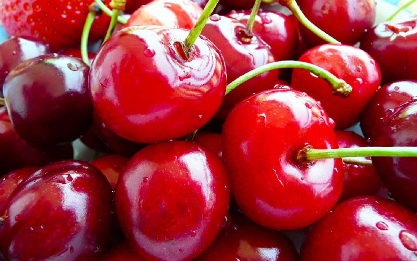 Cherry 桌布 壁紙 — 多汁的紅色車厘子閃爍著水滴和綠色莖，背景模糊。