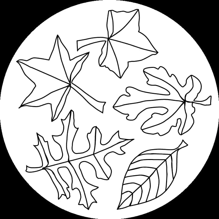 多種秋季葉子輪廓 壁紙 — 一個圓形黑白線條圖案，描繪了五種不同的葉子輪廓，背景為深色。