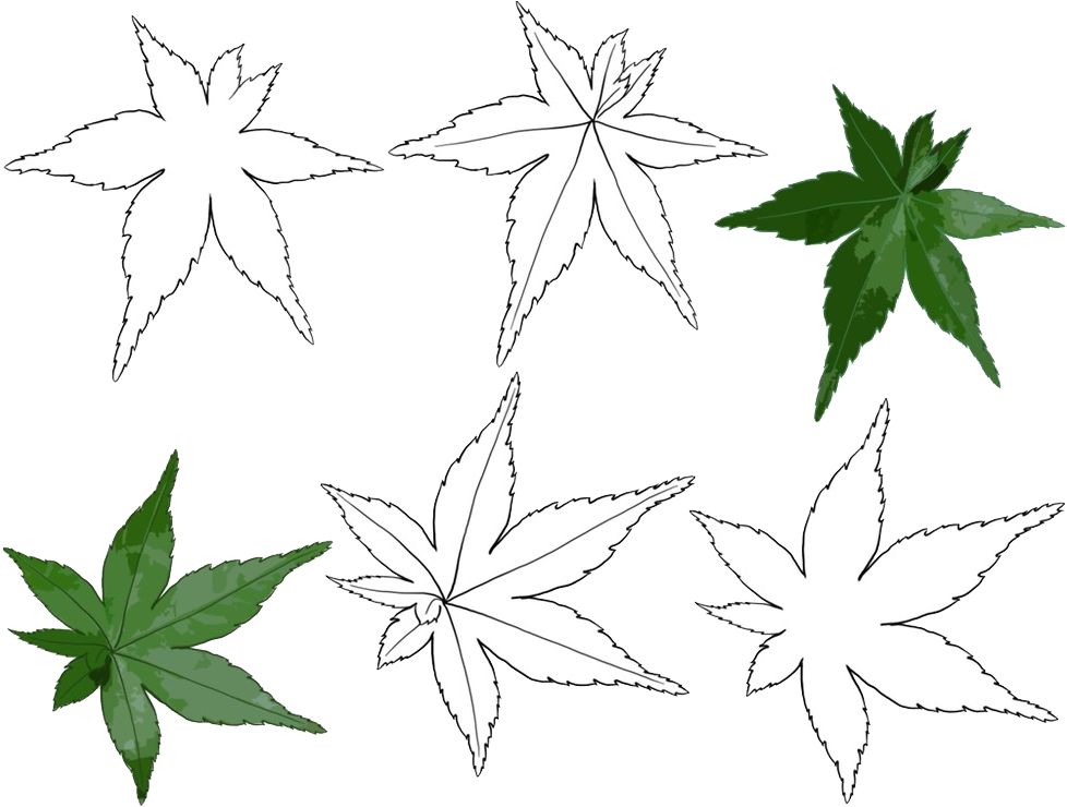 多種葉子插畫 壁紙 — 六片楓葉以白色線條藝術和綠色漂浮在純黑色背景上。