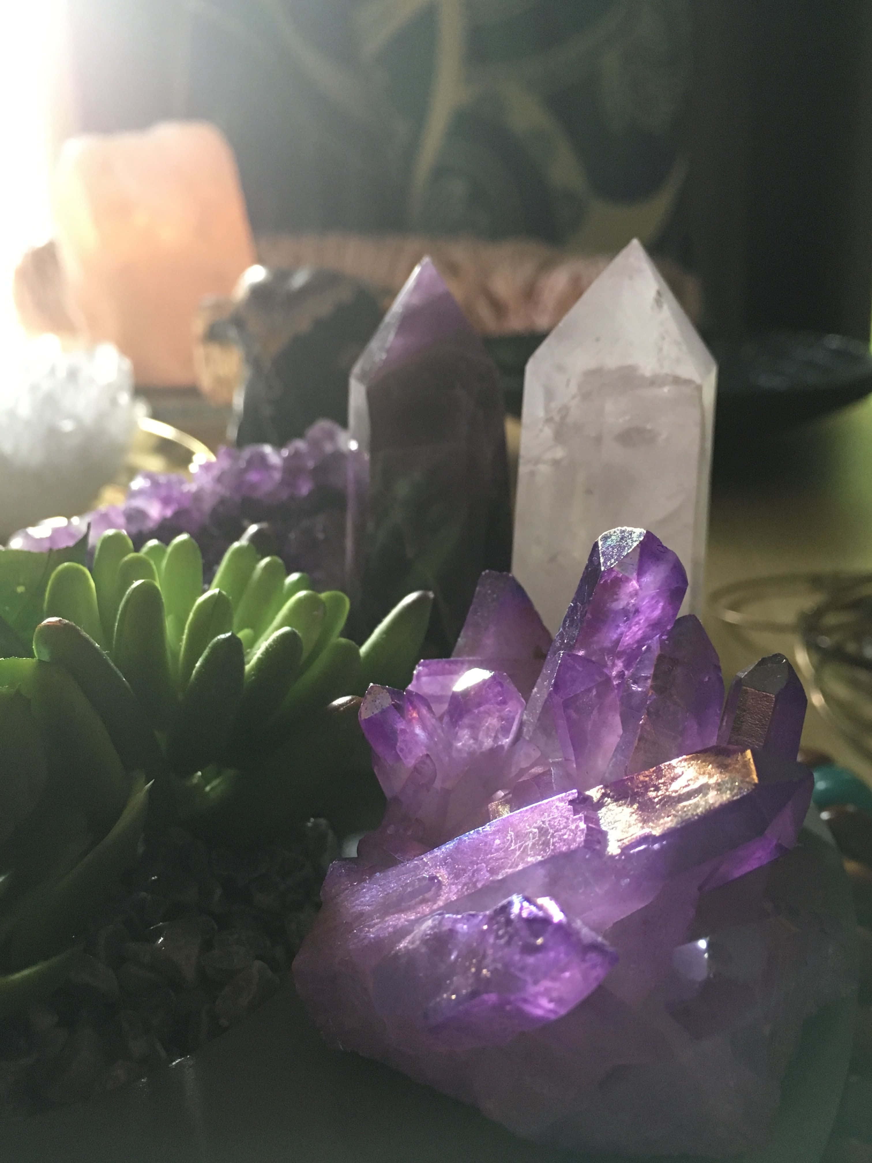 多種類型的青金石療癒水晶 壁紙 — 發光的紫色紫水晶晶體和綠色多肉植物排列在一個神秘的室內靜物畫中，沐浴在柔和的陽光下。