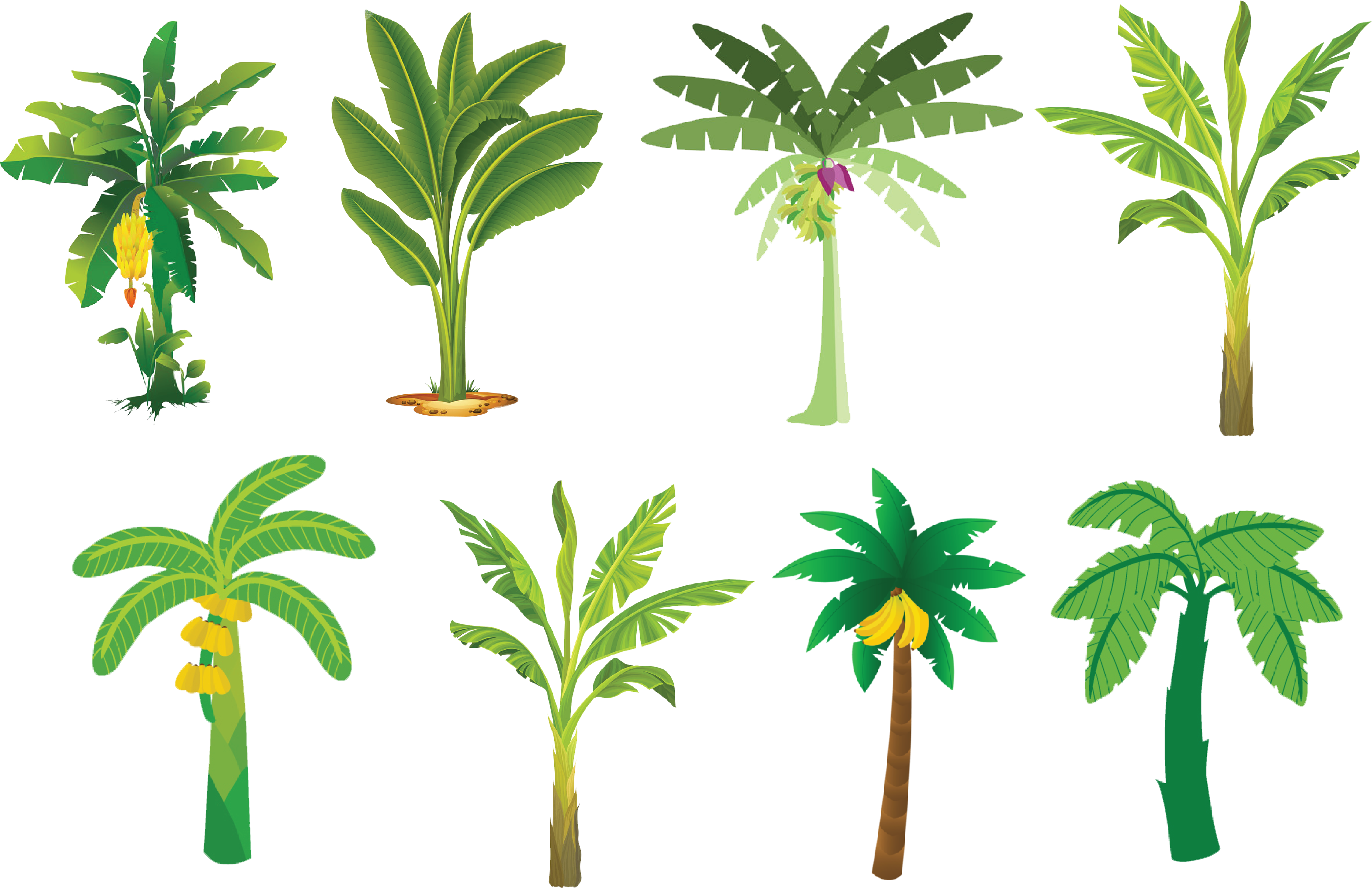 多種香蕉樹插畫 壁紙 — 八種風格化的熱帶植物，包括香蕉樹和棕櫚樹，帶有黃色果實和紫色花朵，背景為黑色。
