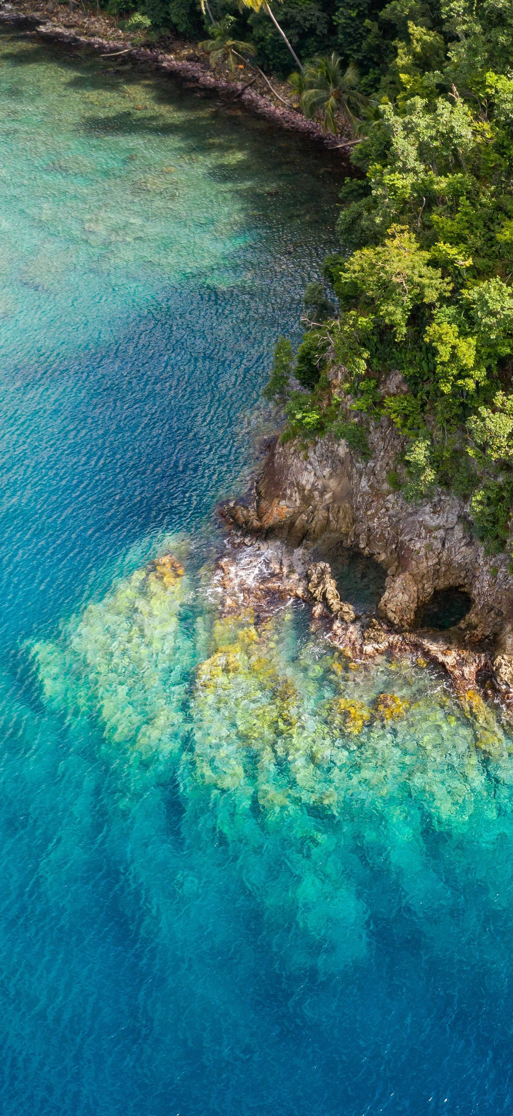 多米尼加島空中景觀 壁紙 — 從空中俯瞰，碧綠的海水與茂密的綠色叢林海岸線交匯，點綴著岩石露頭和棕櫚樹。