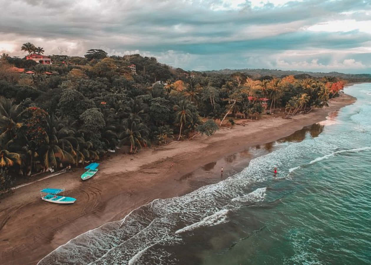 Costa Rica 桌布 壁紙 — 多雲天空下，深色沙灘、碧綠海浪和茂密棕櫚樹的熱帶海灘鳥瞰圖。