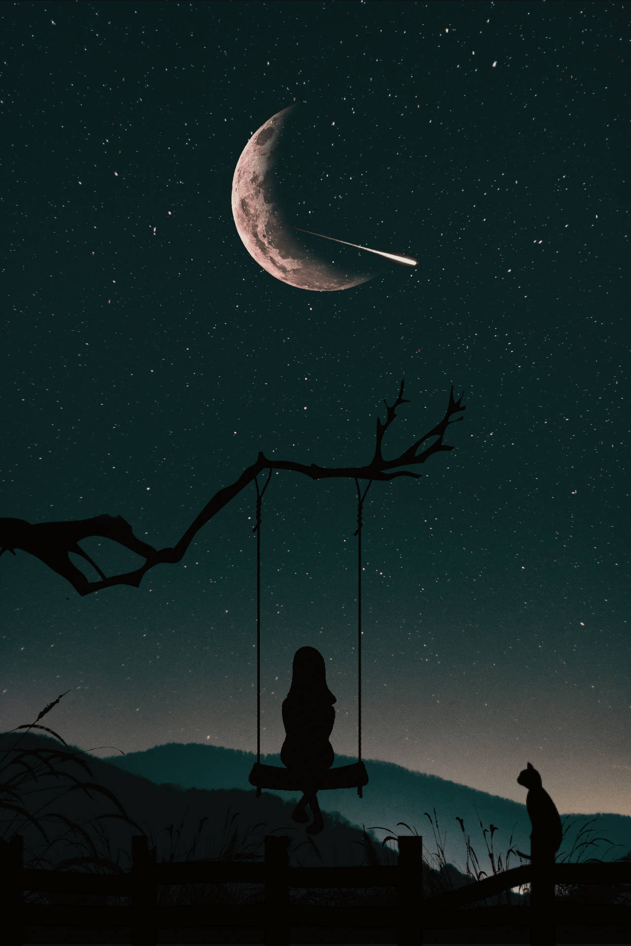 一個人在鞦韆上的剪影，旁邊有一隻貓，背景是新月和流星。