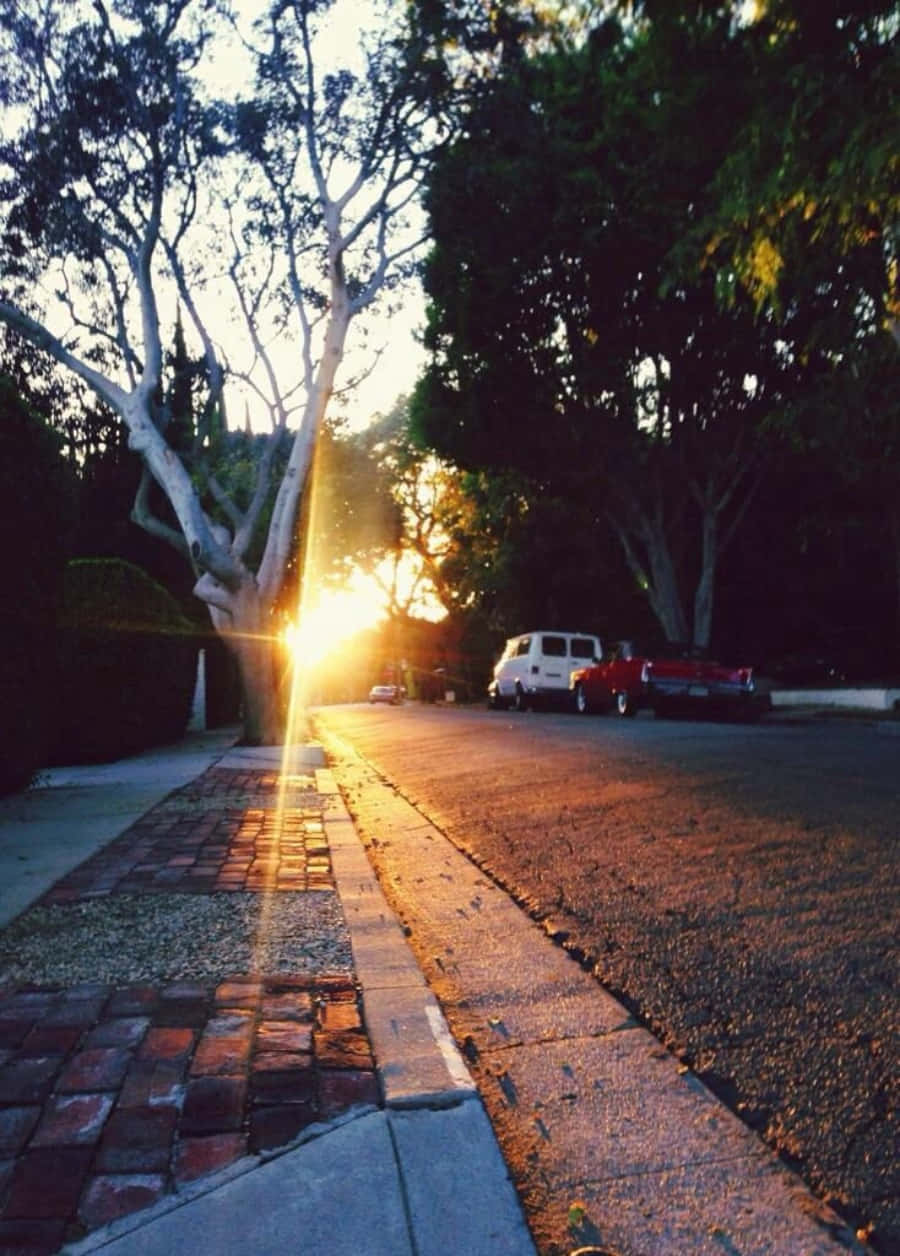 夜幕下沿城市人行道漫步 壁紙 — 夕陽穿過無葉的樹枝，在停滿汽車的寧靜住宅街道上灑下金色的光芒。