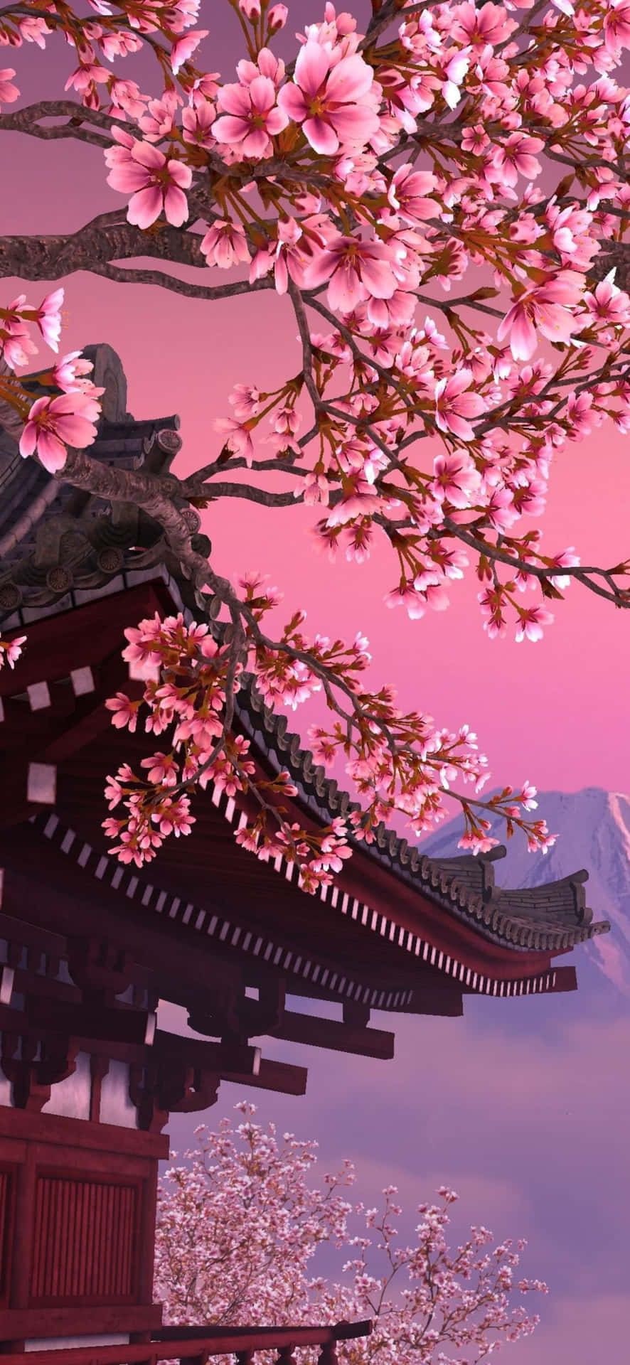 黃昏時分，粉紅色的櫻花在傳統日本寺廟屋頂上盛開。