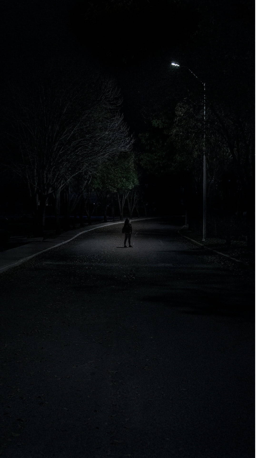 Depression Aesthetic 桌布 壁紙 — 夜晚，一個孤獨的身影在一盞路燈的照耀下，沿著一條陰暗的樹木成蔭的街道行走。