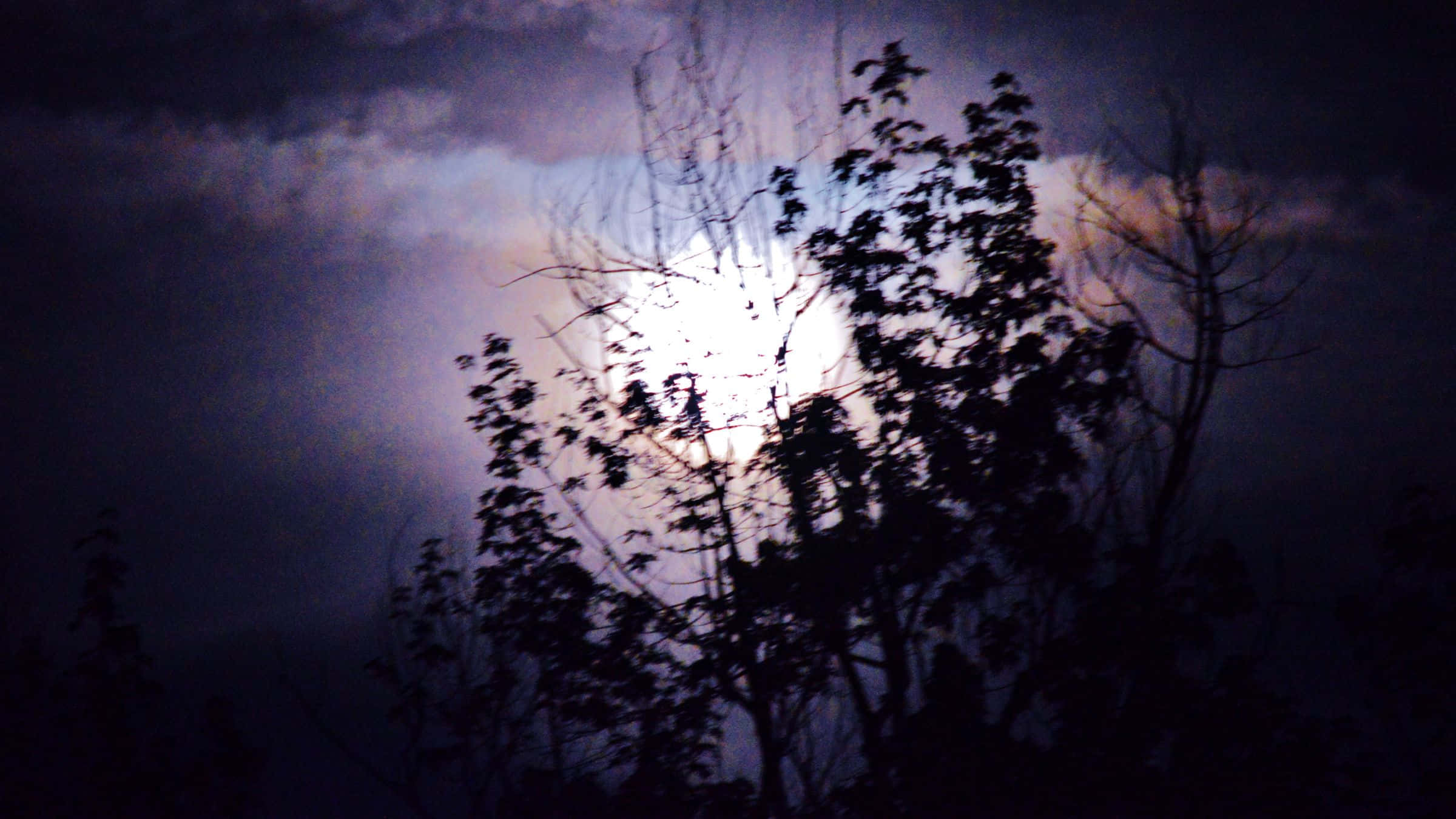 哥德 桌布 壁紙 — 夜晚，一輪明亮的滿月穿過烏雲，在剪影般的樹枝後閃耀。